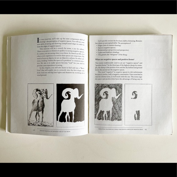 The New Drawing on the Right Side of the Brain: A Course in Enhancing Creativity - Picture 5 of 12